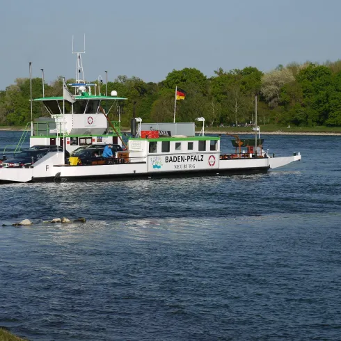 Rheinfähre Baden-Pfalz