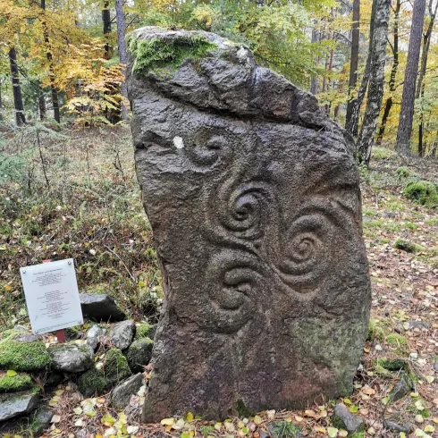 Ein großer, aufrechter Grabstein mit eindrucksvollen Mustern steht im Wald. Umgeben von herbstlichen Bäumen und Moose, vermittelt er eine mystische Atmosphäre.