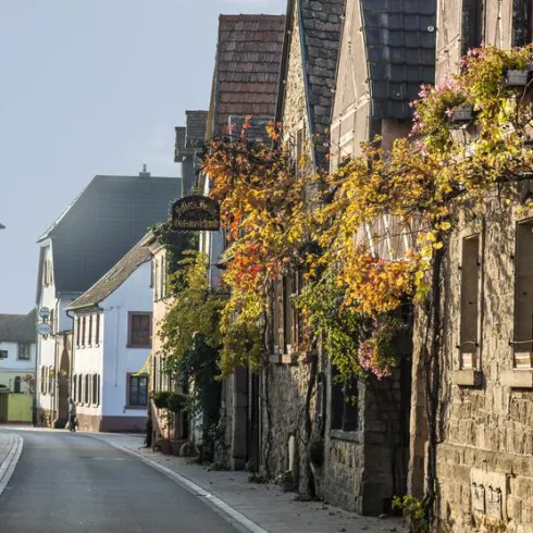 Eine malerische Straße mit historischen Häusern und buntem Laub. Die ruhige Atmosphäre lädt zu einem Spaziergang ein.