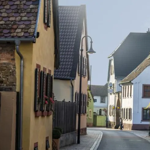 Eine ruhige Straße mit charmanten, bunten Häusern. Der Weg ist gesäumt von Pflanzen und hat eine typische Dorfszene.