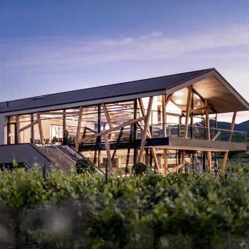 Ein modernes Gebäude mit großen Fenstern steht inmitten von Weinreben. Die Szenerie wird von einem sanften Licht bei Sonnenuntergang beleuchtet.