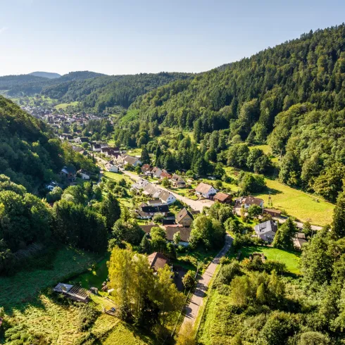 Ortsansicht (© Verein SÜW Annweiler e.V., Fotograf: Dominik Ketz)