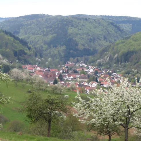 Ortsbild Eußerthal (© Verein SÜW Annweiler e.V.)