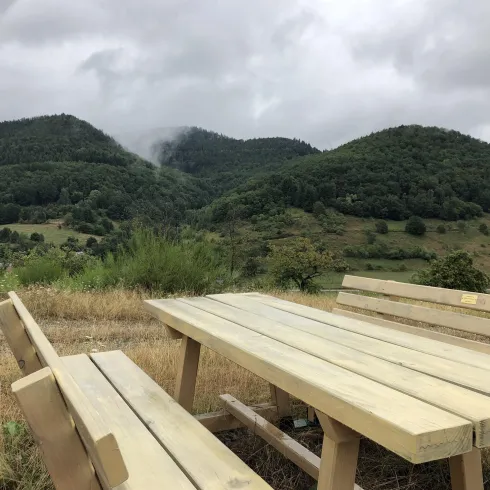 Ein Holzplatz mit Tisch und Bänken inmitten einer grünen Hügellandschaft. Der Himmel ist bewölkt und die Atmosphäre wirkt ruhig.
