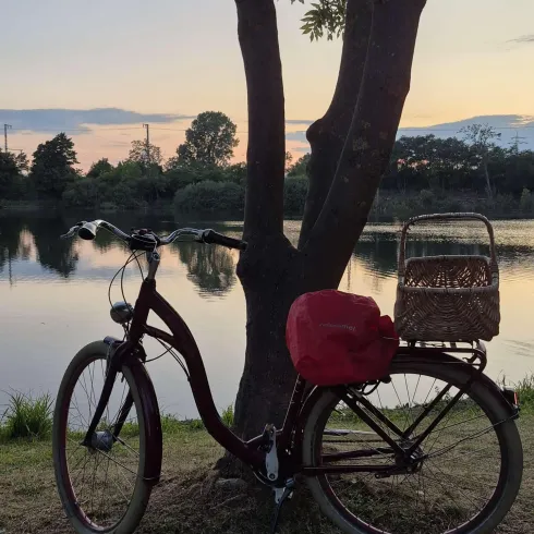 Ein Damenfahrrad lehnt an einem Baum am Ufer eines ruhigen Sees. Im Hintergrund ist ein wunderschöner Sonnenuntergang zu sehen.