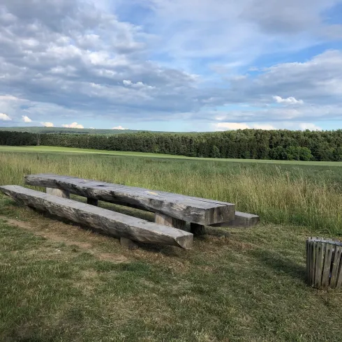 Ein rustikaler Holztisch mit Bänken steht in einer grünen Wiese. Im Hintergrund sind Bäume und ein bewölkter Himmel zu sehen.