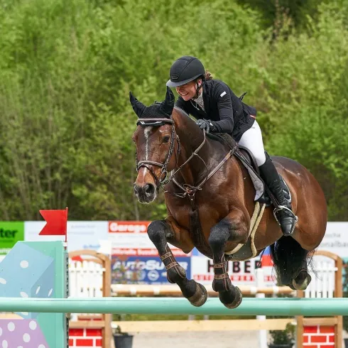 horse-jumping-4416634_1280