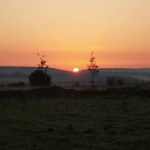Ein wunderschöner Sonnenaufgang über hügeliger Landschaft. Sanfte Farben erhellen den Himmel und verleihen der Szene eine friedliche Atmosphäre.
