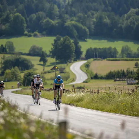 Drei Radfahrer fahren auf einer malerischen Landstraße. Im Hintergrund sind grüne Hügel und Bäume zu sehen.