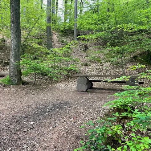 Schallbrunnerweiher_03