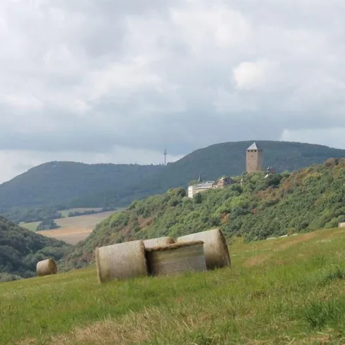 Burg Lichtenberg von der Höhe über Ruthweiler (© Julia Bingeser, FVZV Pfälzer Bergland)