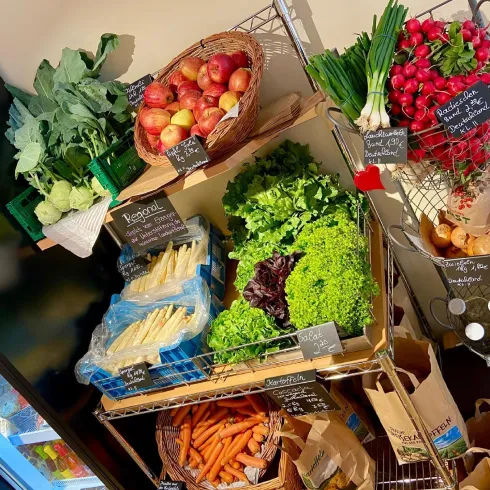 Ein gut sortierter Gemüsestand mit frischem Gemüse und Obst. Es gibt Brokkoli, Äpfel, Radieschen und verschiedene Salatsorten.