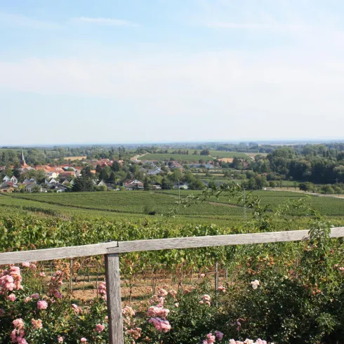 Aussicht auf Heuchelheim-Klingen Aussicht auf Heuchelheim-Klingen