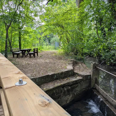 Ein ruhiger Wald mit einer kleinen Holzbrücke und einem Tisch. Neben der Brücke fließt ein sanfter Bach, umgeben von üppigem Grün.