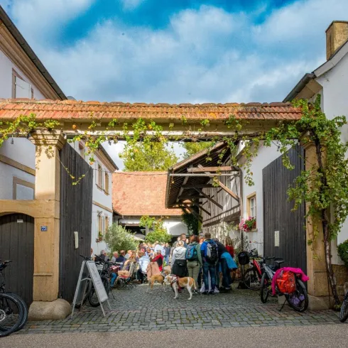 Eine belebte Gasse mit einem Torbogen und vielen Menschen. Freizeitangebote mit Fahrrädern sind sichtbar, umgeben von charmanten Gebäuden.