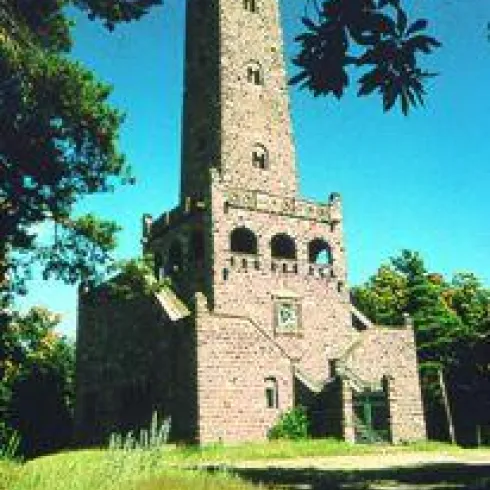 Bismarckturm umgeben von Bäumen