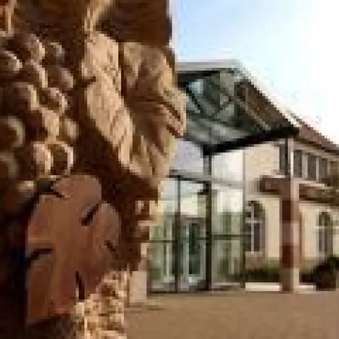 WG Kallstadt (© Winzergenossenschaft)