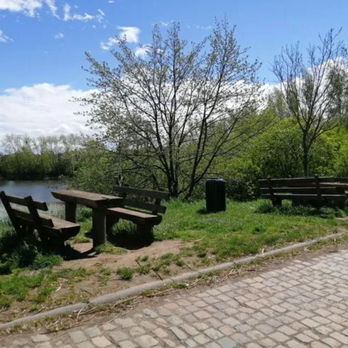 Zwei Bänke mit jeweils zwei Tischen direkt neben einem See. Die Bänke stehen auf einer Grünfläche und Büsche und Bäume verschönern die Umgebeung.