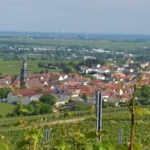 Kallstadt und Umgebung, Blick auf Kallstadt (© Urlaubsregion Freinsheim)
