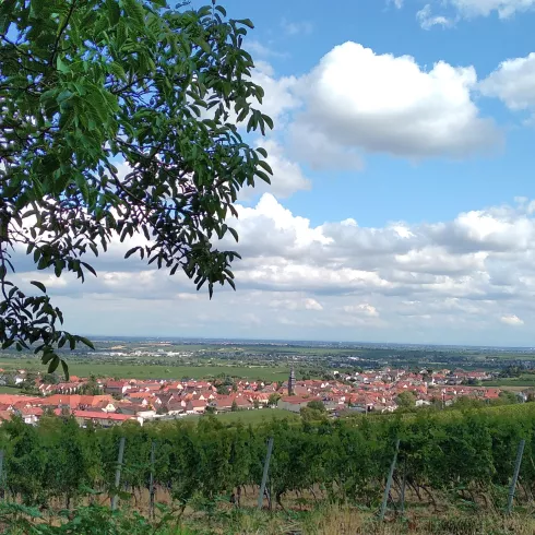 Blick in die Rheinebene