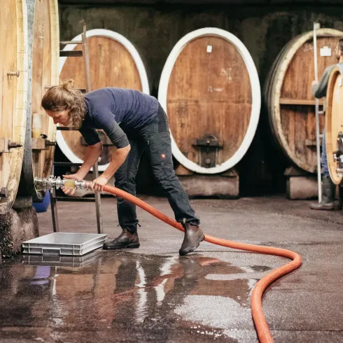 Eine Frau die einen Schlauch in ein großes Holzfass steckt. Das Ganze ist der Holzfasskeller des Weinguts. Mehrere Holzfässer stehen hinter einander in diesem Kelle. 