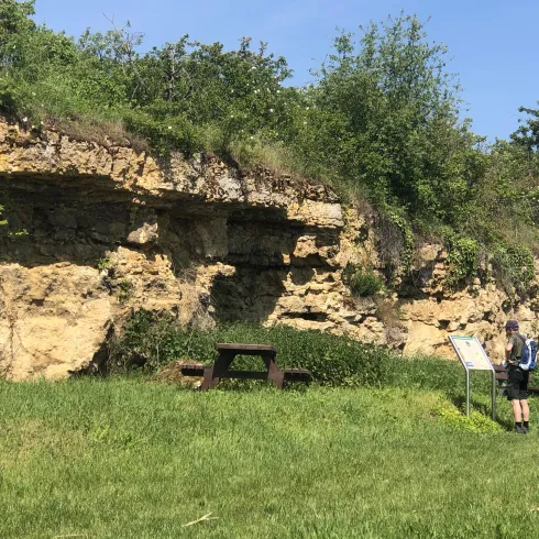 Kalksteinwand bei Kallstadt