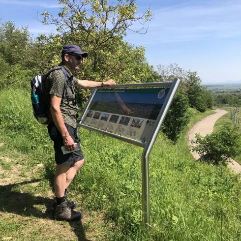 Schöner Aussichtspunkt oberhalb Kallstadts (© Urlaubsregion Freinsheim) Schöner Aussichtspunkt oberhalb Kallstadts (© Urlaubsregion Freinsheim)
