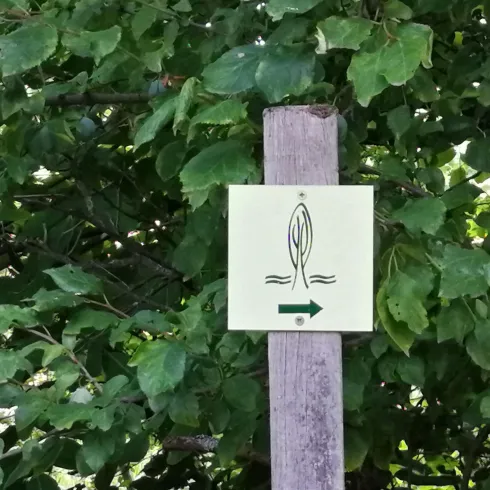 Ein Schild mit einem Symbol für Angeln und einem Hinweis nach rechts. Umgeben von grünen Blättern.