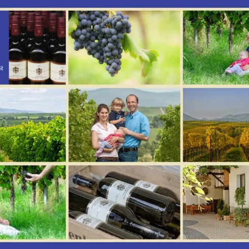 Weingut Thomas Schaurer