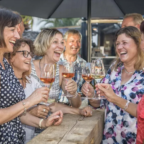 Eine Gruppe von Frauen feiert in einer freundlichen Atmosphäre und hebt Gläser mit Getränken. Sie lachen und genießen den Moment zusammen.