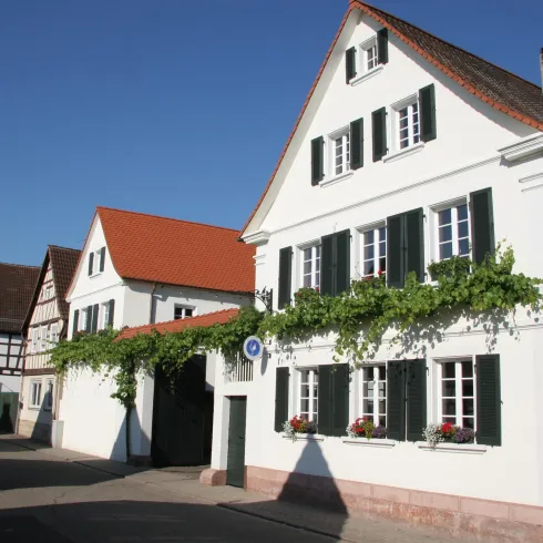 Weingut Esther Grün