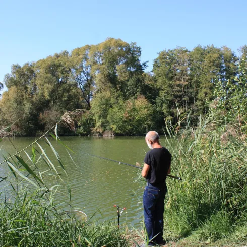 Der Angelweiher in Billigheim