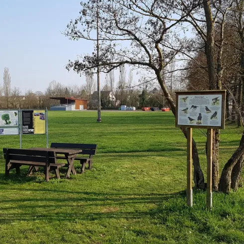 Ein ruhiger Park mit grüner Wiese und Bänken. Informationsschilder stehen in der Nähe von Bäumen.