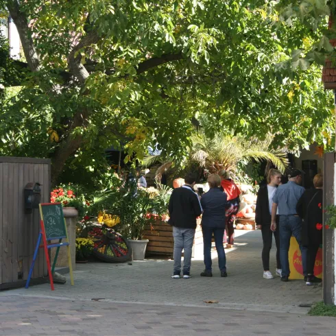 Weingut Thomas Reinhardt 2