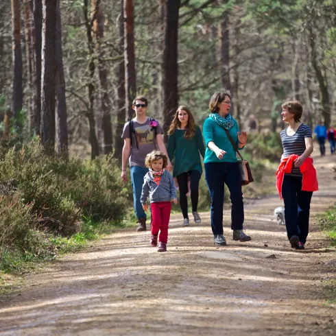 Eine Gruppe von Personen spaziert auf einem Waldweg. Sie genießen die Natur und die frische Luft.
