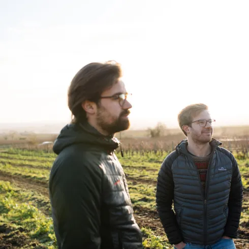 Weingut Scheuermann 1