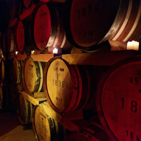 Geräumiger Weinkeller mit einer Wand aus Holzfässern. Sanftes Licht von Kerzen schafft eine gemütliche Atmosphäre.