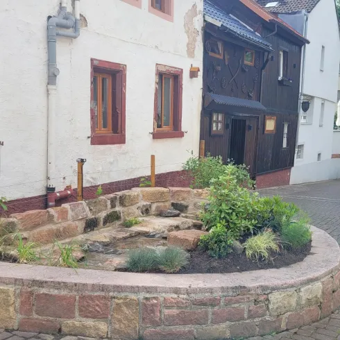 Eine kleine Gartenlandschaft mit Steinen und Pflanzen in einer Ecke einer Straße. Im Hintergrund sind alte und moderne Gebäude zu sehen.