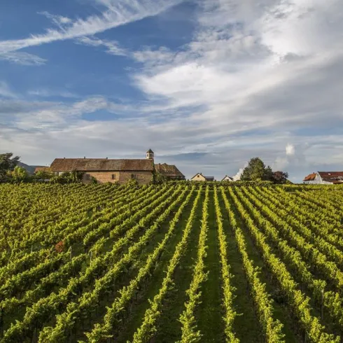 kloster (© Verein SÜW Edenkoben e.V.)
