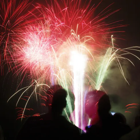 Feuerwerk Schlossfest Villa Ludwigshöhe