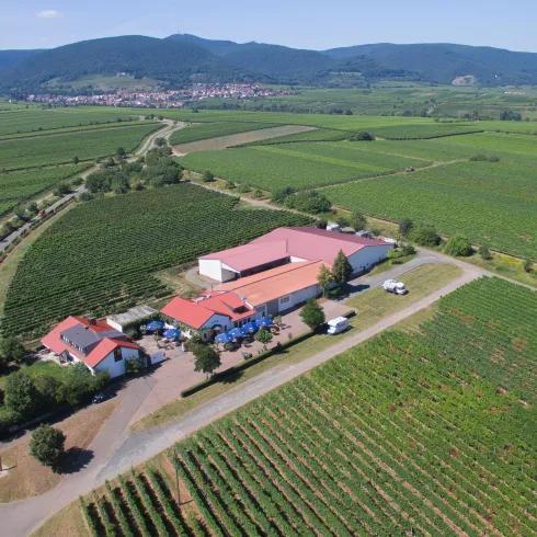 Eine Luftaufnahme eines Weinguts umgeben von Weinbergen. Im Hintergrund sind sanfte Hügel und ein blauer Himmel sichtbar.