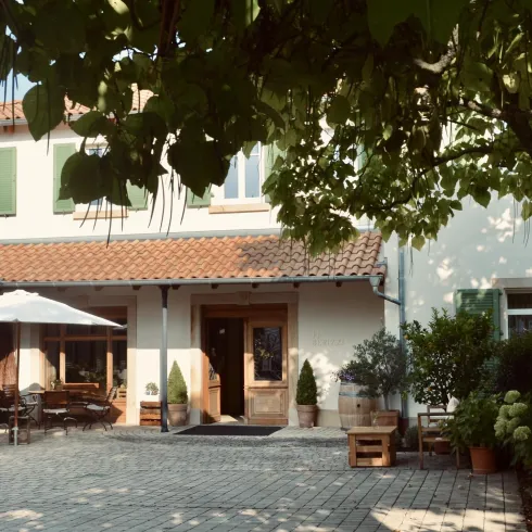 Ein charmantes Haus mit einer Terrasse und einem Sonnenschirm. Rundherum sind Grünpflanzen und ein schöner, sonniger Himmel.