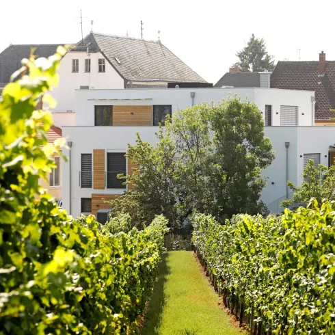 Aussenansicht vom Haus durch den Weinberg (© Melanie Hubach)