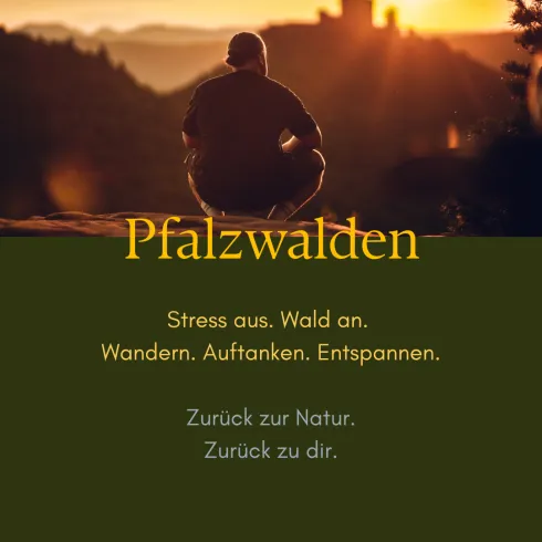 Der Sonnenuntergang über einer bewaldeten Landschaft. Eine Person sitzt auf einem Felsen und genießt die Natur.