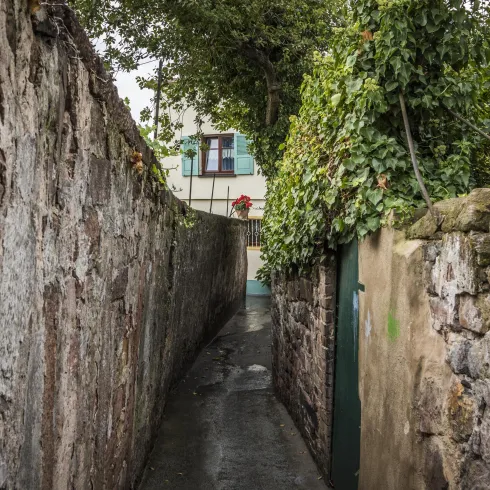 Eine malerische Straße mit bunten Häusern und Blumen. Girlanden schmücken die Gebäude und schaffen eine festliche Atmosphäre.