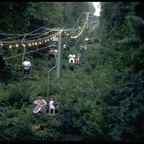 Eine Seilbahn fährt durch eine dicht bewachsene Landschaft. Menschen sitzen in der Seilbahn und genießen die Aussicht.