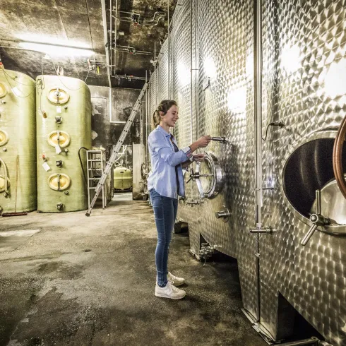Eine Person steht in einem Weinkeller und öffnet einen großen, silbernen Tank. Im Hintergrund sind grüne Tanks zu sehen.