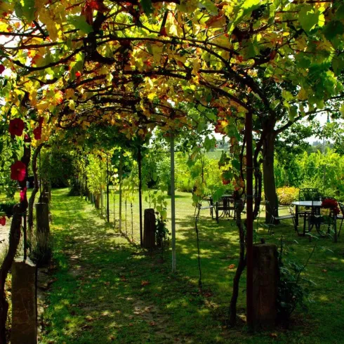 Winzergarten (© Weingut Teutsch)