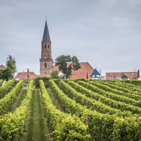 Protestantische Kirche Edenkoben (© macrohaus)