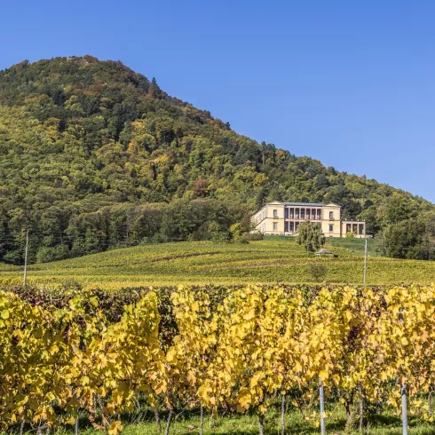 Villa Ludwigshöhe_Edenkoben (© Verein SÜW Edenkoben, T. Kujat)
